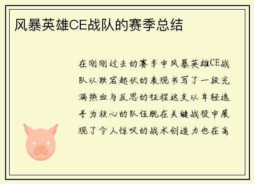 风暴英雄CE战队的赛季总结